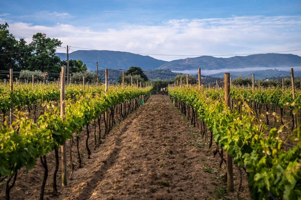 Madre De Agua Hotel Rural De Charme Gouveia  Kültér fotó